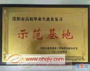 小蜜蜂会计服务 和平区三好街的安心之选